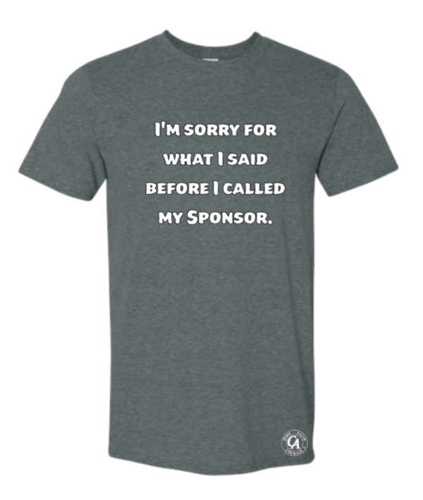I'm Sorry for What I Said Before I Called My Sponsor T-shirt